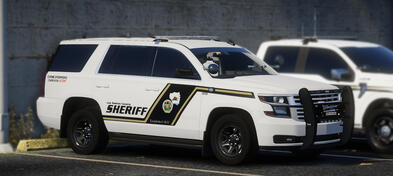 TX Bexar County LSSD